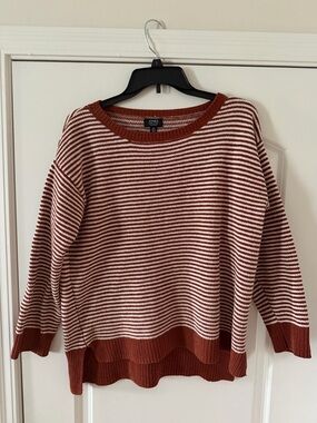Jones New York Rust and Cream Striped Crewneck Sweater